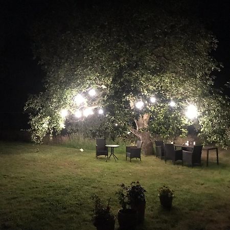 Redbrook Farm Bnb - Gateway To The New Forest Fordingbridge Exteriör bild