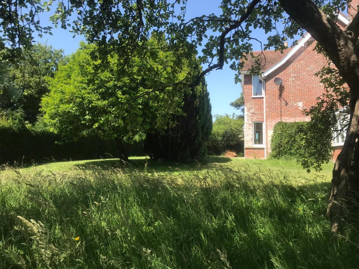 Redbrook Farm Bnb - Gateway To The New Forest Fordingbridge Exteriör bild