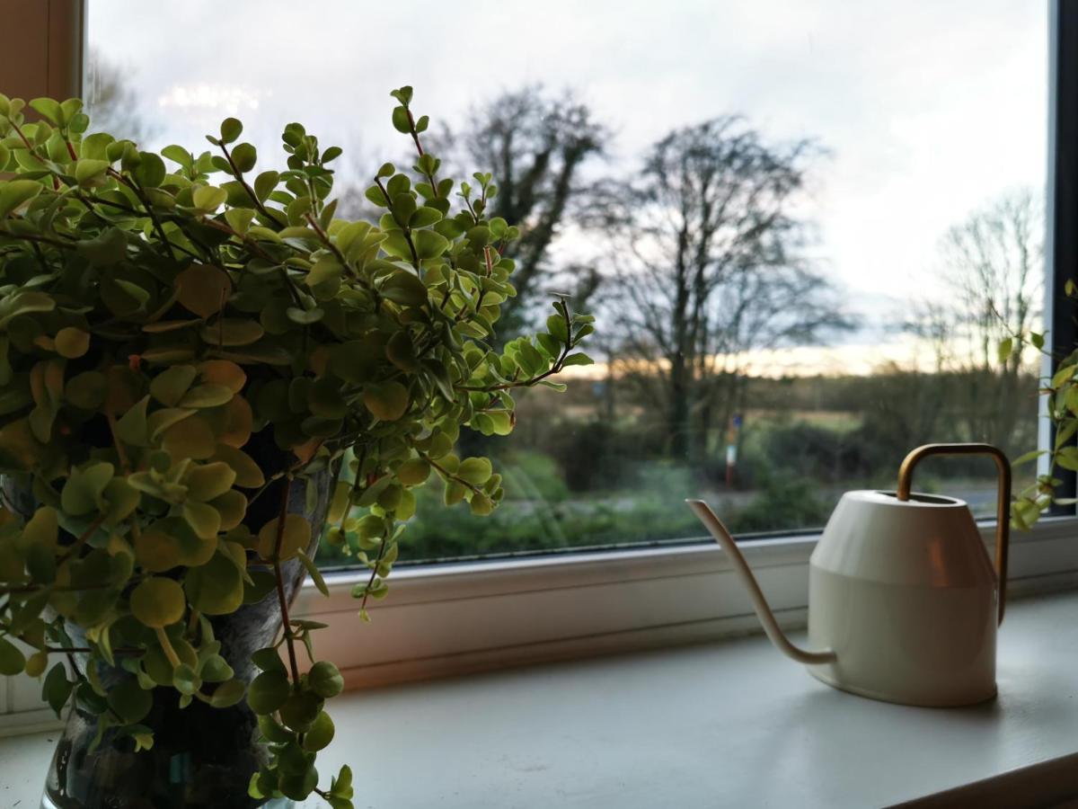 Redbrook Farm Bnb - Gateway To The New Forest Fordingbridge Exteriör bild