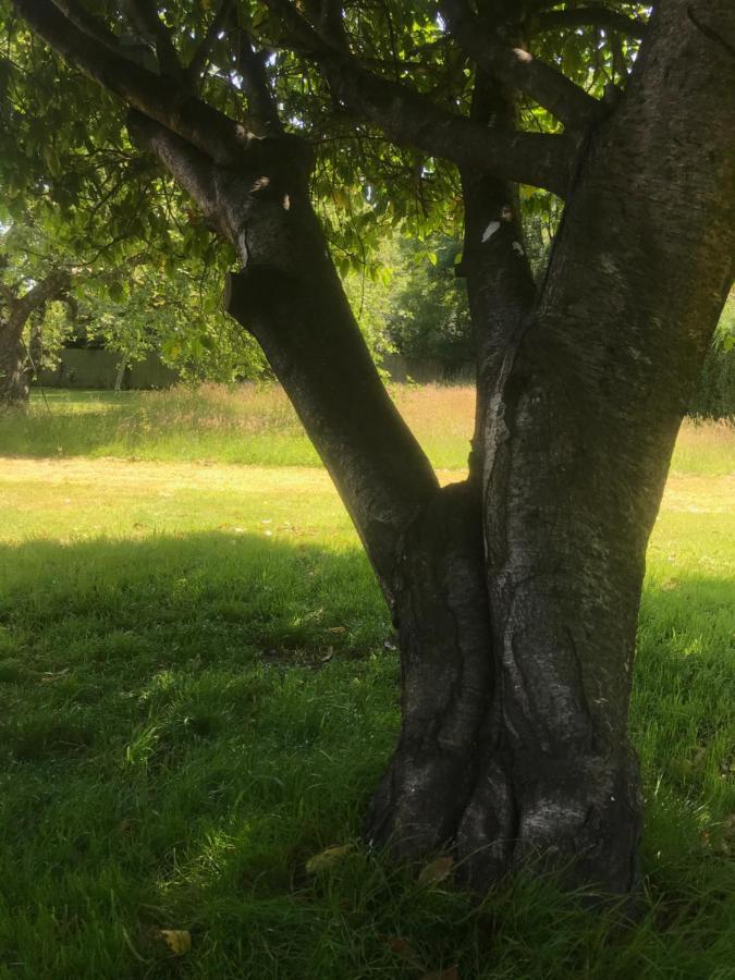 Redbrook Farm Bnb - Gateway To The New Forest Fordingbridge Exteriör bild
