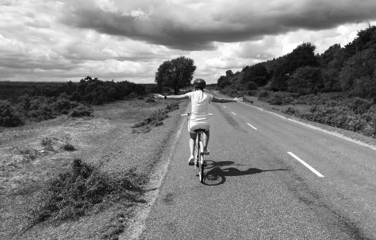 Redbrook Farm Bnb - Gateway To The New Forest Fordingbridge Exteriör bild