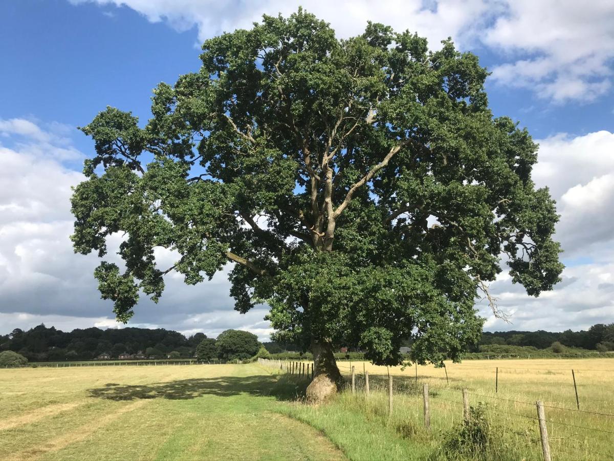 Redbrook Farm Bnb - Gateway To The New Forest Fordingbridge Exteriör bild