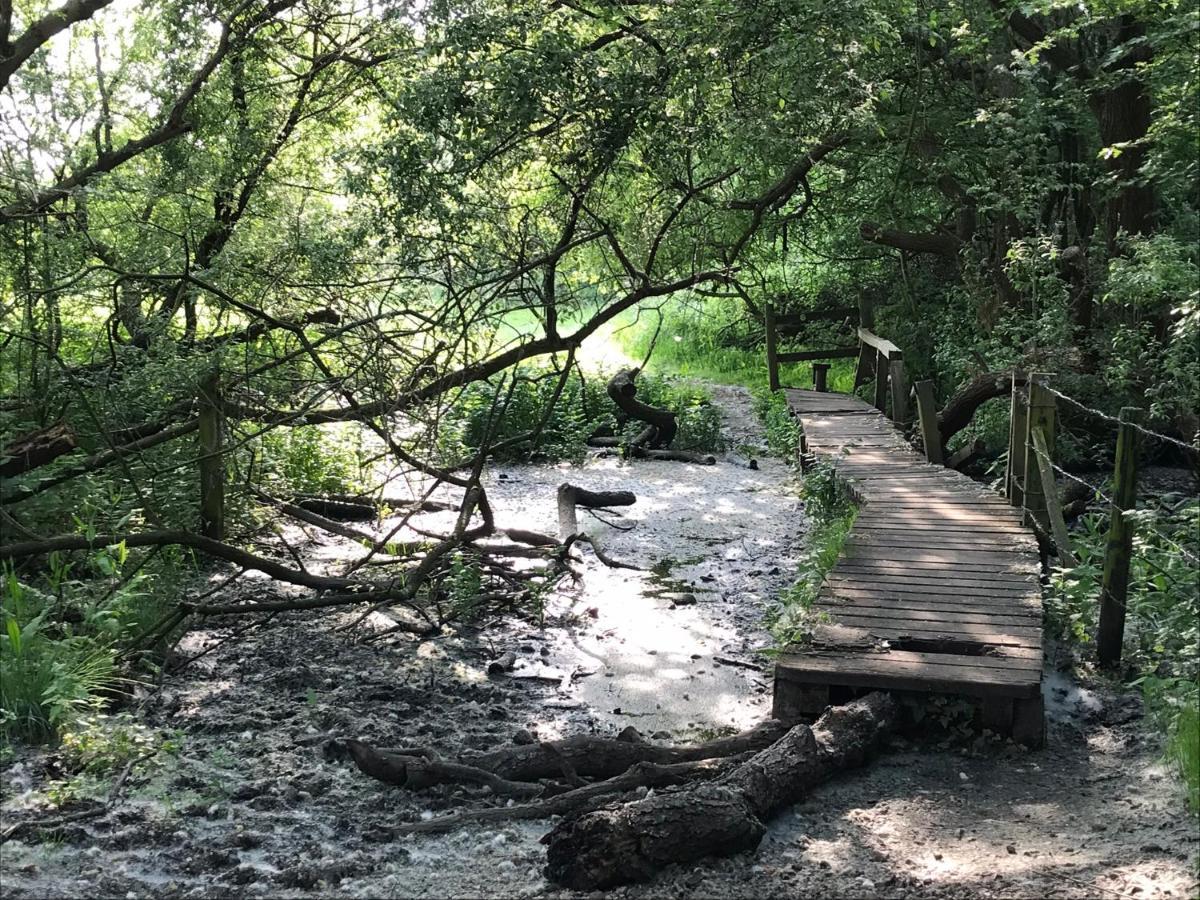 Redbrook Farm Bnb - Gateway To The New Forest Fordingbridge Exteriör bild