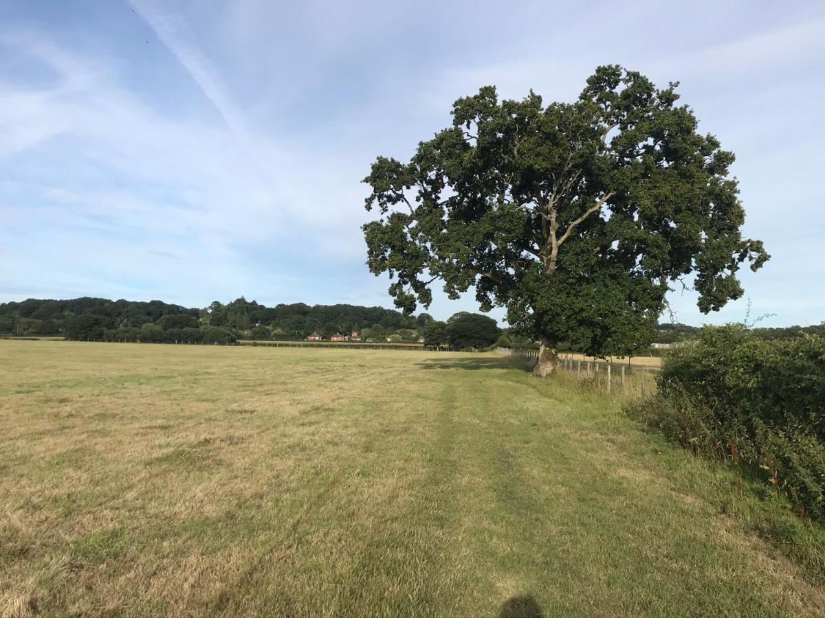 Redbrook Farm Bnb - Gateway To The New Forest Fordingbridge Exteriör bild