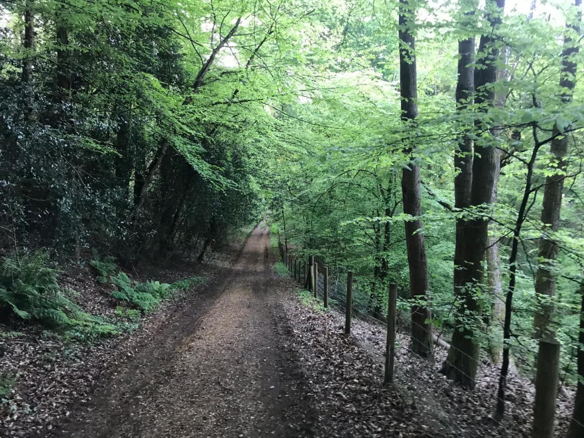 Redbrook Farm Bnb - Gateway To The New Forest Fordingbridge Exteriör bild
