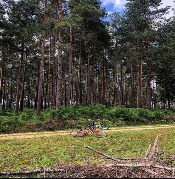 Redbrook Farm Bnb - Gateway To The New Forest Fordingbridge Exteriör bild