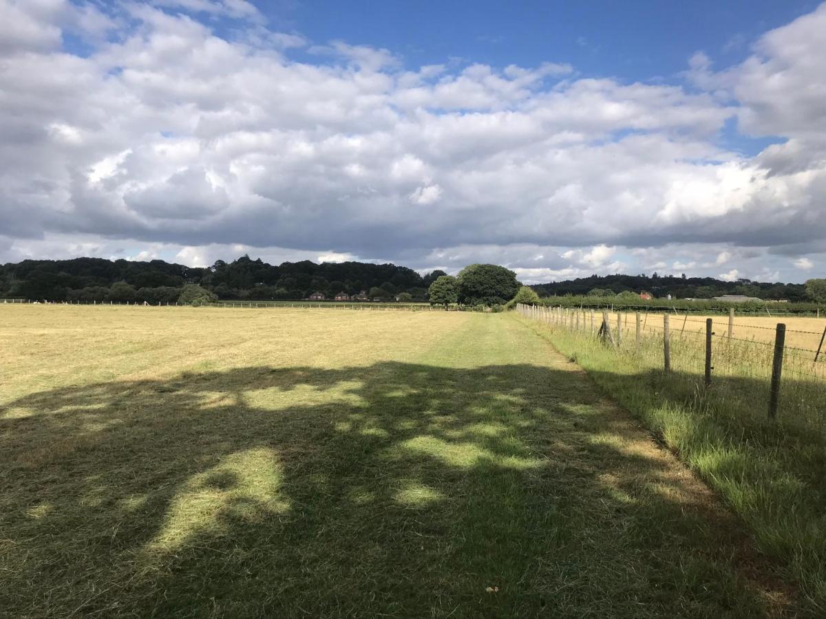 Redbrook Farm Bnb - Gateway To The New Forest Fordingbridge Exteriör bild