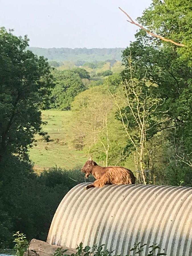 Redbrook Farm Bnb - Gateway To The New Forest Fordingbridge Exteriör bild