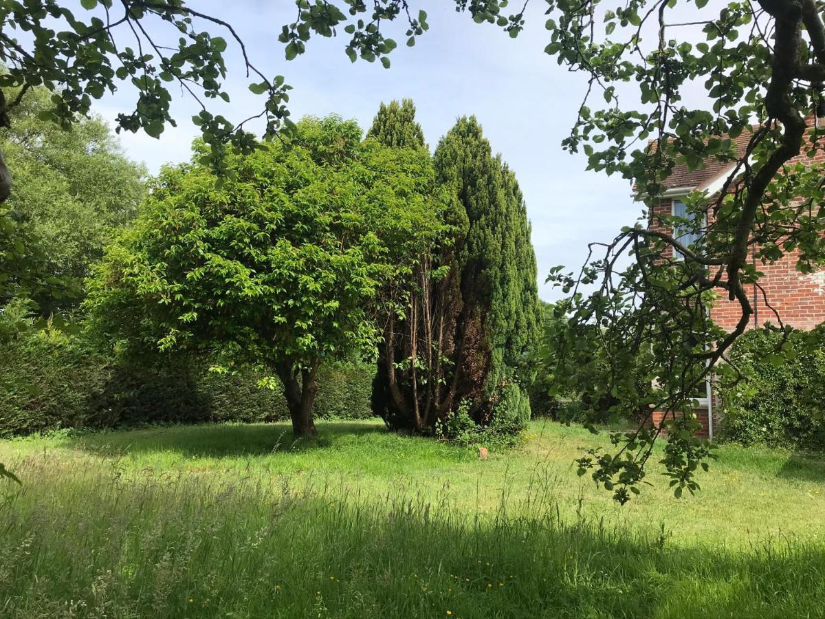 Redbrook Farm Bnb - Gateway To The New Forest Fordingbridge Exteriör bild